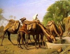 Camels at the Fountain. , -