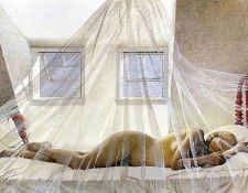 File7320. �����, �����