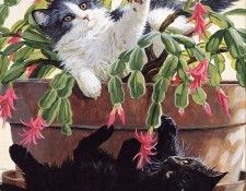 Persis Clayton Weirs - Christmas Cactus, De. ,  