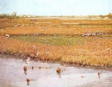 36226. ���������-���������