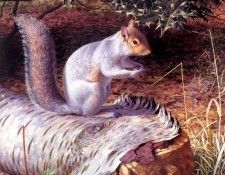 an artists garden csg023. ���, �������