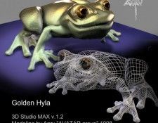 hyla. Nemo, 