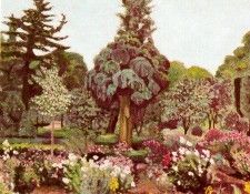 12783. ����, �������