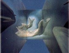 26933. ������, �����