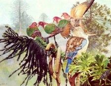 Oz AGls047 Tony Oliver Blue Winged Kookaburra. , 