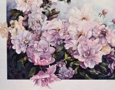 Therese Fournier - Boheme, pivoines roses et mauves, De. , 