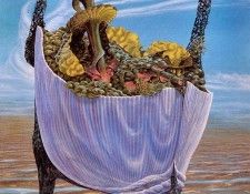 Carter, Don - Argonauts Cradle (end. , 