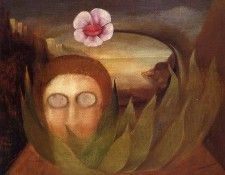 Brauner (2). �������, ������