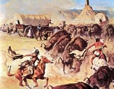 zFox SWD HVS 08 Indians Attack By Stampeding Buffalo. ,  