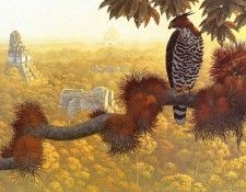 lrs Sloan Richard The Cityat Sunrise. �����, ������