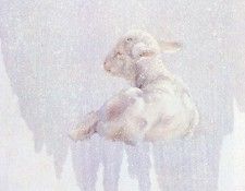 kb Noel Nancy-Lamb. �����, �����