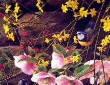 an artists garden csg038. ���, �������