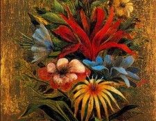 11551. Varo, ��������