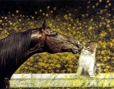 kb Harrison Dibious Friends. , 