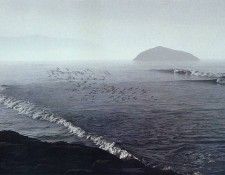 Ward, David - Sea Air (end. , 