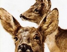 Poortvliet Vliet Nature 380 Sun. Poortvliet, �����