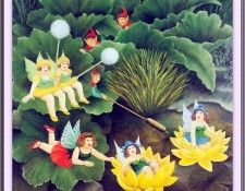 CookBeryl j24 Fairies and Pixies-WeaSDC. ���, Beryl