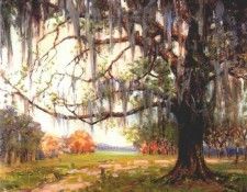 willis a carolina vista. ������