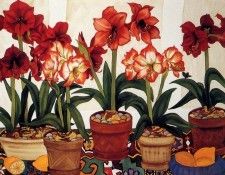Kendhal Jan Jubb - Amaryllis de fenetre, De. ����� �� Kendhal