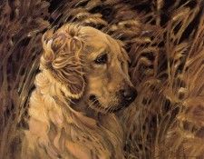 kb Noel Nancy-Companion. , 