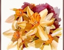 KunzJan-Daffodils-sj. , 