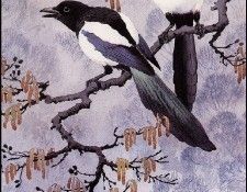 43626. Tunnicliffe, 