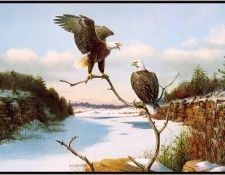 GrommeOwen-EaglesAtTheDell (sj-art324). Gromme, ���� J