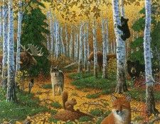 kb Bragg CL Alaska Autumn. ,  
