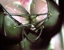 hermelin isc TW 54. Wuerz, ����