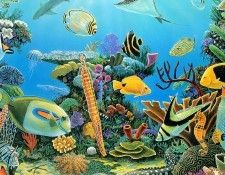 kb Bragg CL Rescue the Reefs. �����, ������ ����