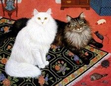 kb Vang Olsen Mimi M. ,  