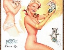 remp-28. ������, ���� Mac