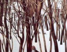 lrs Doolittle Surprise Encounter. �������, ���