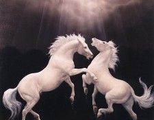 dj14. ���-�����