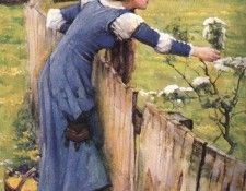 The Flower Picker JW. ���������, ���� ������