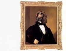 dog portraits csg028 maurice maurice. �������, ������