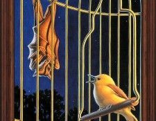 MS 30th 012 The Cage Bird and the Bat. , 