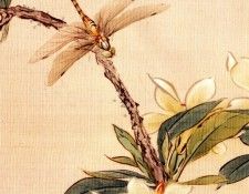 Shuki, Okamoto - Dragonfly (end. , 