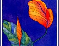 bs-flo- Sara Steele- Spathiphyllum. ����, ����