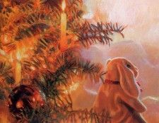 Donna Green - The Velveteen Rabbit 01, De. , 