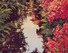 lrs Reynolds R Streamof Azaleas. , R