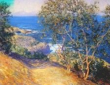 rose indian tobacco trees, la jolla. , 