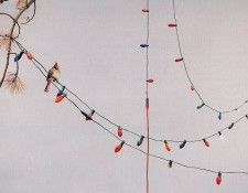 Mark Eberhard - Halloween Christmas Lights, De. , 