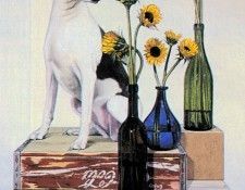 kb Jackson Robert-Sunflower Guardian. , 