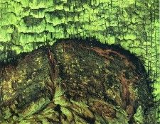 art 728. ������, �����