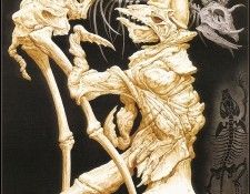 lrsHussJudson-WaltzoftheFossils. ���, �������