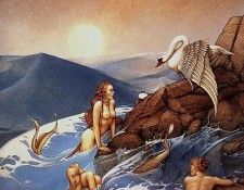 mmp17. �����, �����