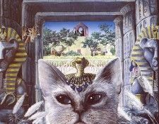 lrs Base Graeme The Cat Seeker. , 
