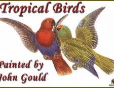 PO ptb 02 Introduction. ����, ����