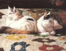 kb Rogers Howard-Quilted.  